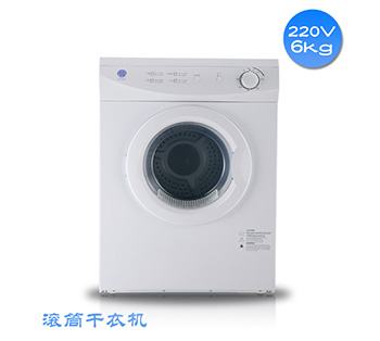 220V烘干機(jī)新款6KG滾筒干衣機(jī)
