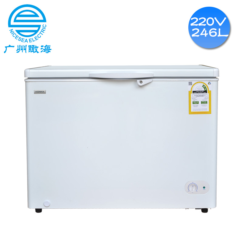 220V外貿(mào)船用冰柜246L